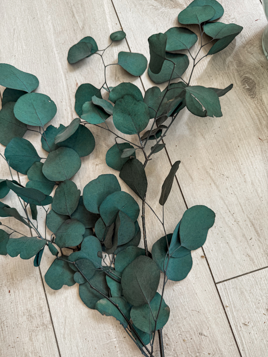 Dry Apple Eucalyptus Green-Blue