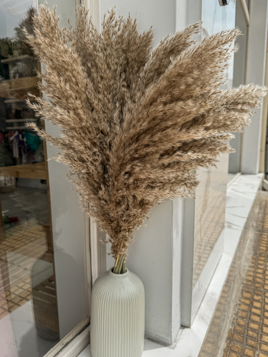 Dry Cortaderia Fluffy Pampas Natural 65-70εκ