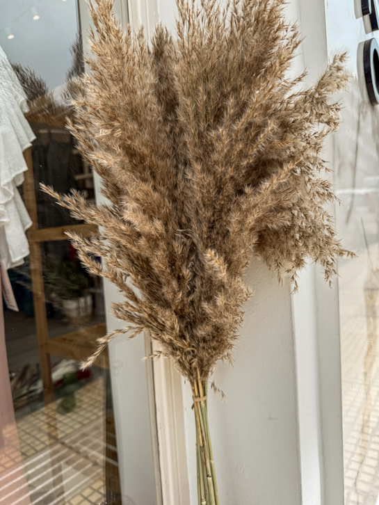 Dry Cortaderia Fluffy Pampas Natural 75~80εκ.