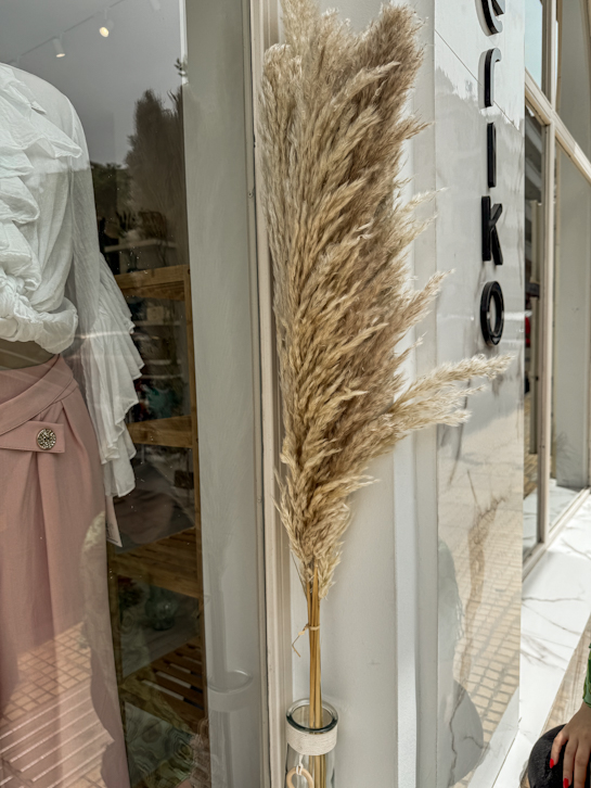 Dry Cortaderia Fluffy Pampas Natural 118~120εκ.