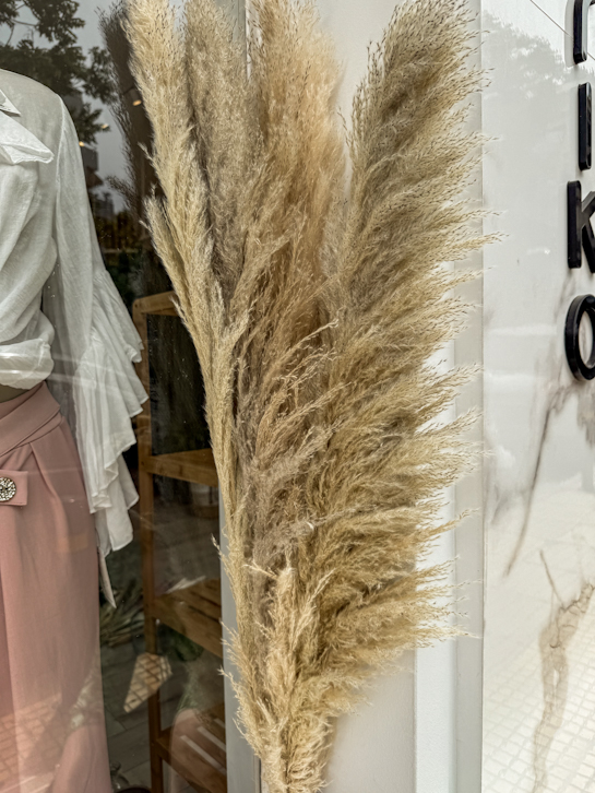Dry Cortaderia Fluffy Male Pampas Beige 118-120εκ.